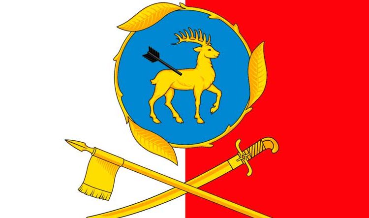 Флаг муниципального образования Город КаменскШахтинский Ростовская область Россия Футбол ЮФОСКФО Флаг муниципального образования Город Каменск Шахтинский Ростовская область Россия