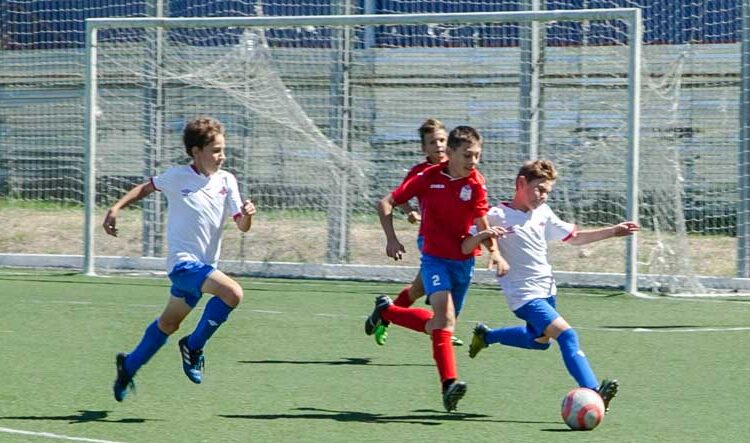 Опыт формирования модельных игровых характеристик юных футболистов Футбол ЮФОСКФО Опыт формирования игровых характеристик юных футболистов