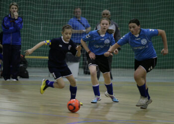 Результаты Мини-футбола – в школу Ростовской области 2013 год