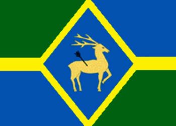 Белая Калитва Ростовская область флаг фото