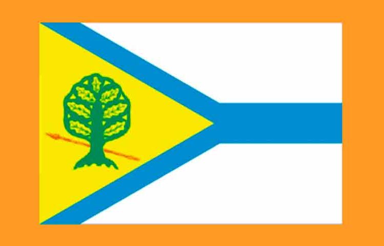 Флаг муниципального образования Красносули́нское городское поселение Красносулинского района Ростовской области Российской Федерации Футбол ЮФОСКФО Флаг Красносулинского района Ростовской области