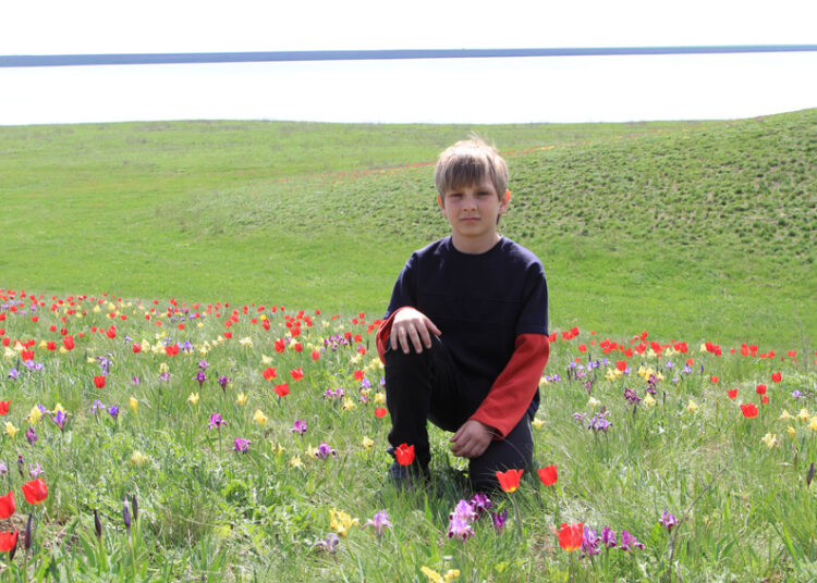 Цветение тюльпанов в Ростовской области