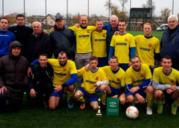 Кубок федерации футбола Ростовской обл. 2017: выиграл Покров