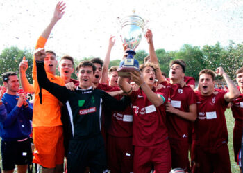 Кубок дружбы-2018 в Ростове объединил города-побратимы