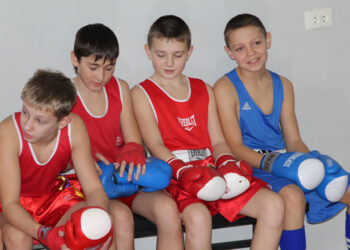 Боксерские перчатки - какие они бывают