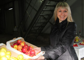 Совет при покупке мороженых ягод