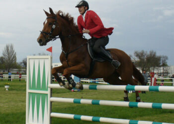 Гвардия спортивного Дона накануне Олимпиады в Лондоне 2012