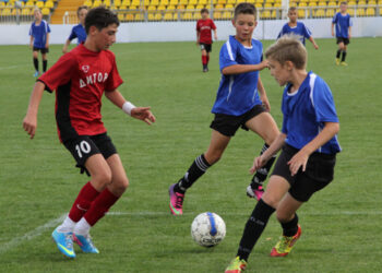 Резиновая крошка экологически безопасна и не содержит веществ, вызывающих аллергию