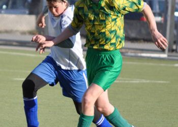 Турнир по футболу Виктора Нечепуренко 1995 и 1996 г. в  2010 году