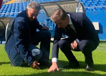 На стадионе «Ростов Арена» вырастили новый газон