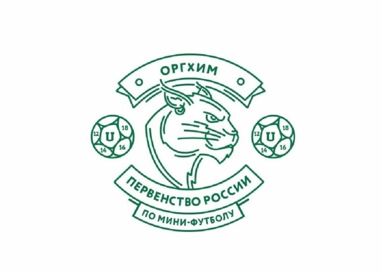 ОРГХИМПервенство России по минифутболу среди юношей и девушек Футбол ЮФОСКФО Оргхим чемпионат России мини футбол юноши и девушки