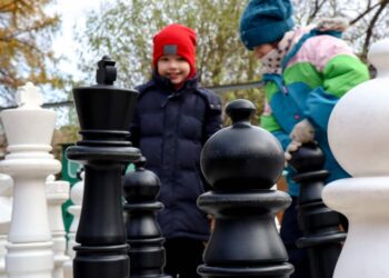 Школа шахмат Chessfirst.online: какие условия для занятий