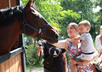 ТОП-4 игрушек для детей - не ошибешься