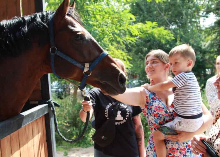 Игрушки для детей какие развивающие и популярные Футбол ЮФОСКФО ТОП 4 игрушек для детей не ошибешься