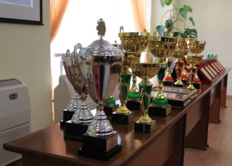 ДинамоСтаврополь отстало от лидеров ЛФЛ ЮФО 2005 г Футбол ЮФОСКФО Любительская лига по футболу в зоне Южного федерального округа 2005 года