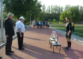 Суперкубок по футболу Ростовской области 2013 - результаты