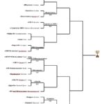 Кубок Гетмановаа сетка плей офф 9 марта 2024