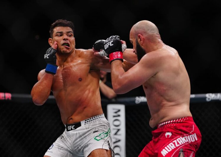 Как устроен карьерный путь бойца от зала до октагона UFC